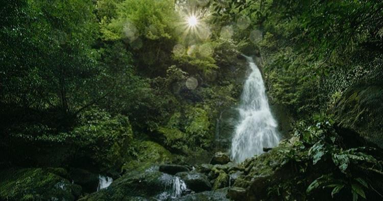 Park Resort Mtirala National Park Chakvistavi ภายนอก รูปภาพ